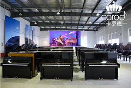 熱烈慶祝卡羅德鋼琴經(jīng)銷商考察交流會(huì)在上海成功舉行 技術(shù)服務(wù)賦能行業(yè)未來(lái)