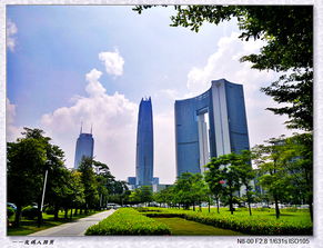 綠滿莞邑 清新東莞的城市綠化建設與管理實踐