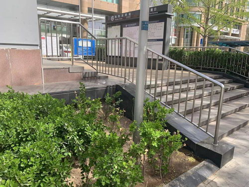 追蹤報道 城市綠化帶，犄角旮旯里的垃圾不見了——探訪城市綠化精細化管理的轉變